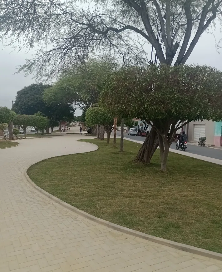 Praça em Planaltino concluída — paisagismo, piso intertravado e árvores consolidadas
